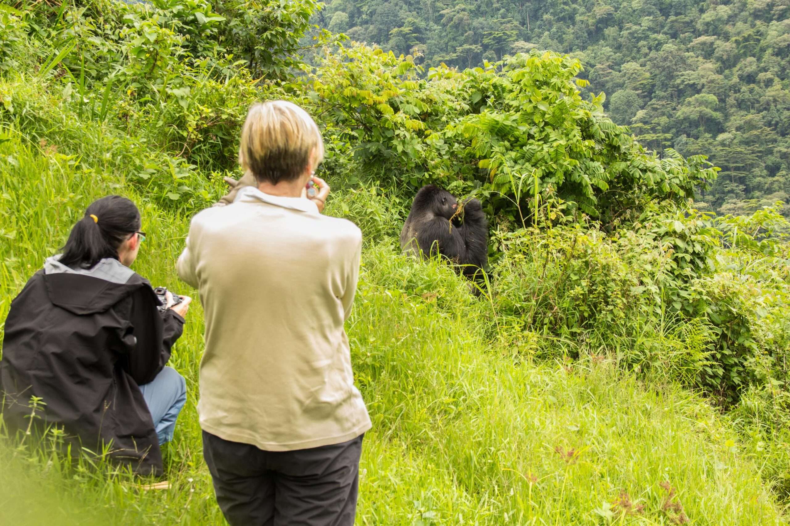 Uganda Gorilla Trekking from Kigali