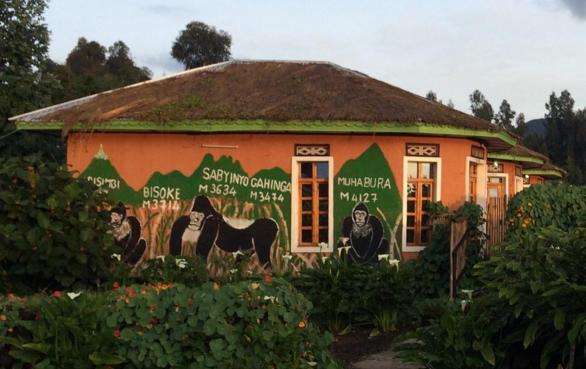 Budget Accommodation in Volcanoes National Park