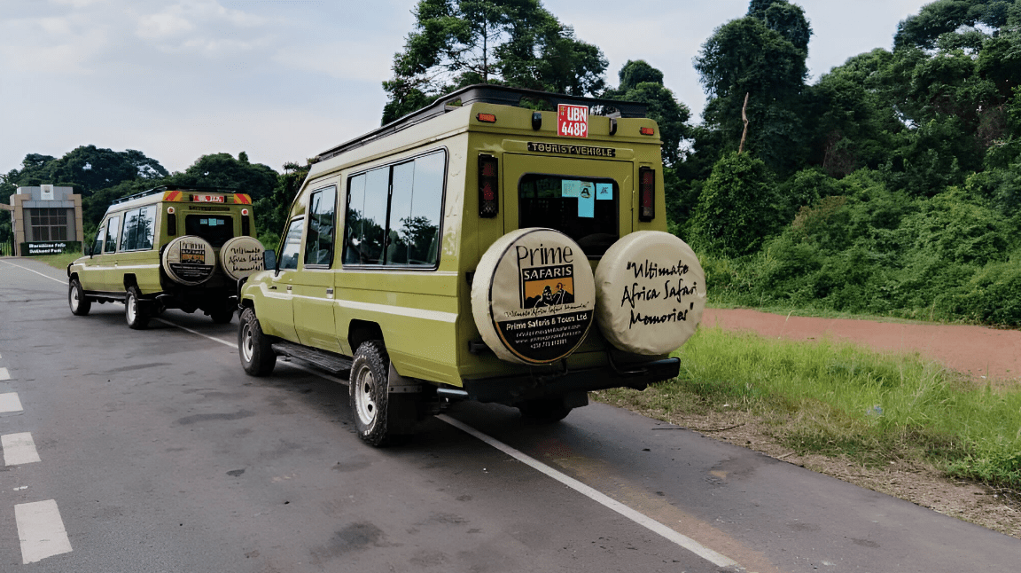 Chimpanzee Trekking Companies in Uganda and Rwanda